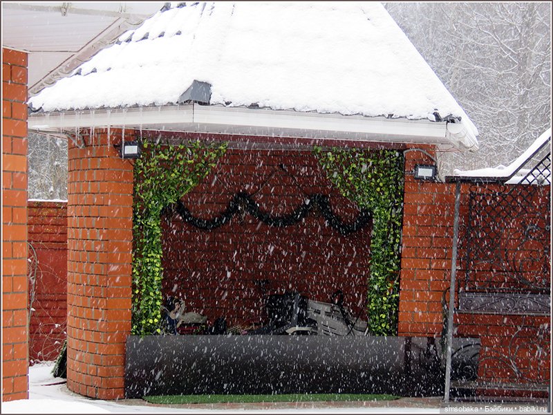 Зима вернулась в Москву — Игровые куклы разных производителей (Разное): редкие бренды (фото 10)