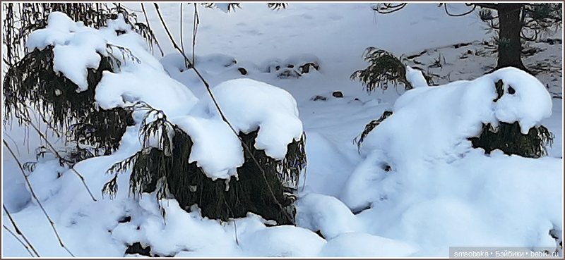 Зима вернулась в Москву — Игровые куклы разных производителей (Разное): редкие бренды (фото 7)