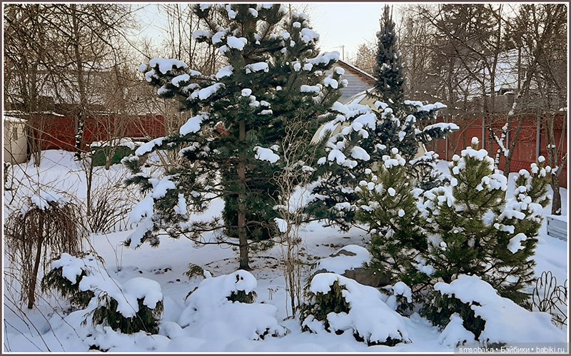 Зима вернулась в Москву — Игровые куклы разных производителей (Разное): редкие бренды (фото 2)