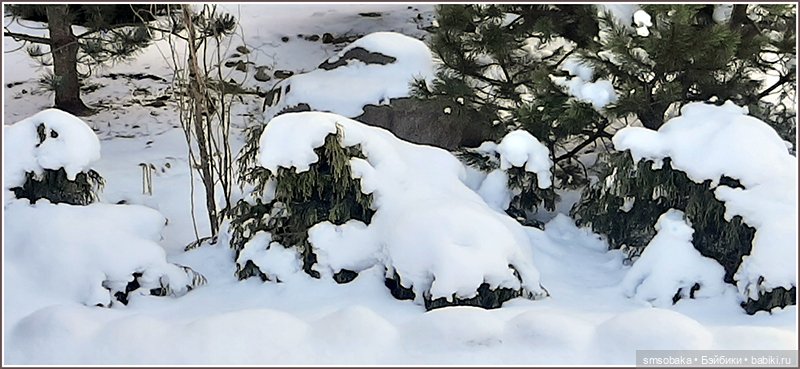 Зима вернулась в Москву — Игровые куклы разных производителей (Разное): редкие бренды (фото 5)