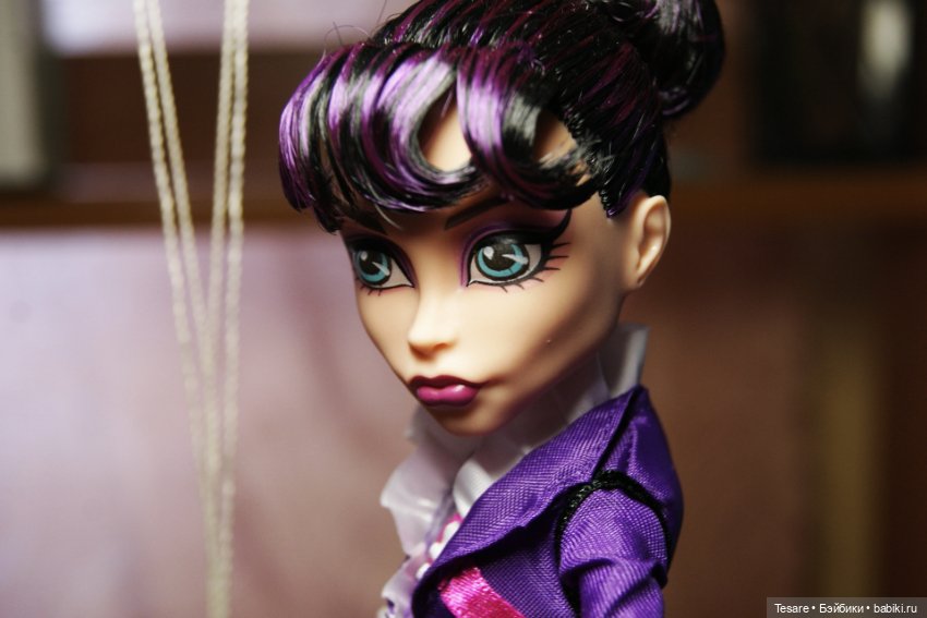 Воспоминания о прошлом — Куклы Monster High и Ever After High: G1