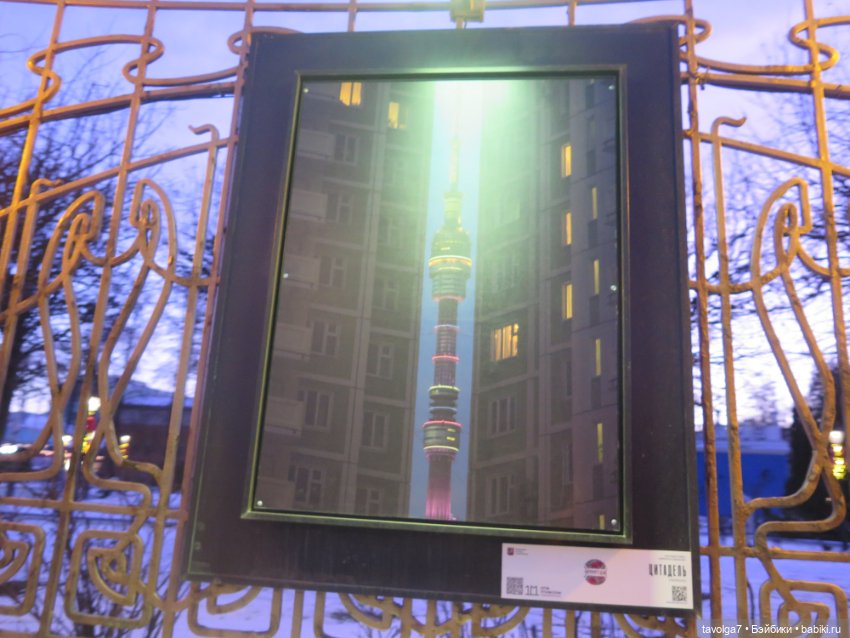 "В циркульных линиях этого города..." (фото 10)