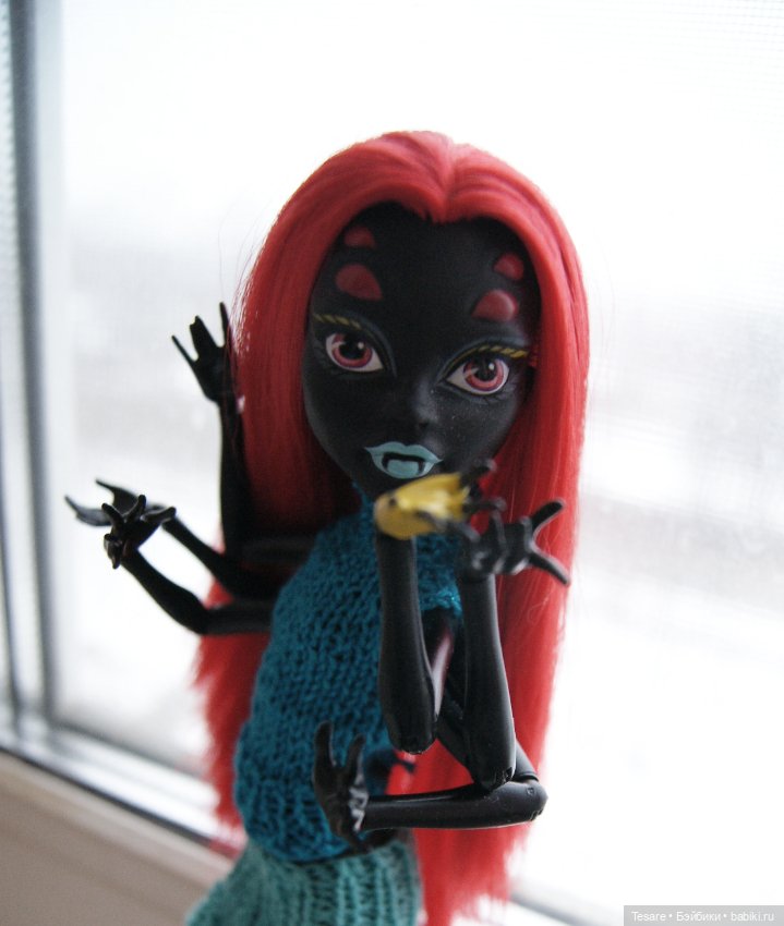 Номер 10. Вайдона — Куклы Monster High и Ever After High: G1 (фото 8)