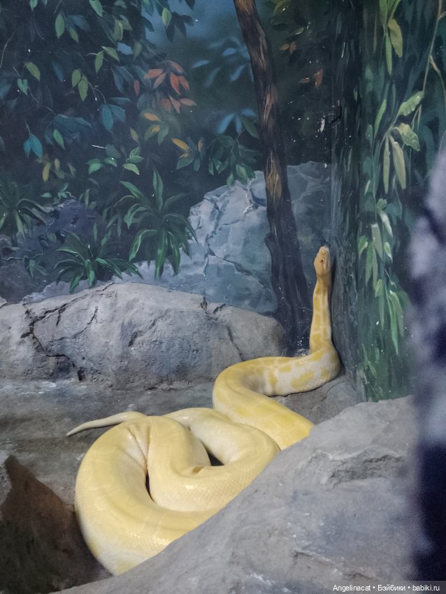 Ева в экзотариуме — Мягкие игровые и текстильные куклы: тряпичные (фото 8)