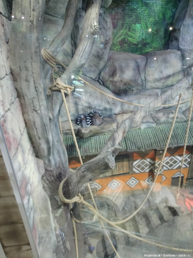 Ева в экзотариуме — Мягкие игровые и текстильные куклы: тряпичные