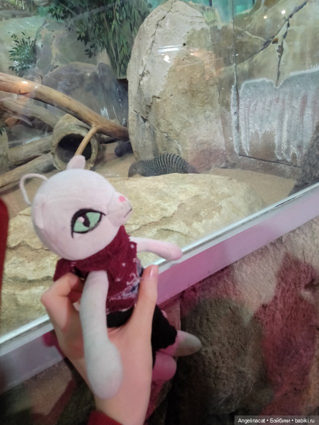 Ева в экзотариуме — Мягкие игровые и текстильные куклы: тряпичные