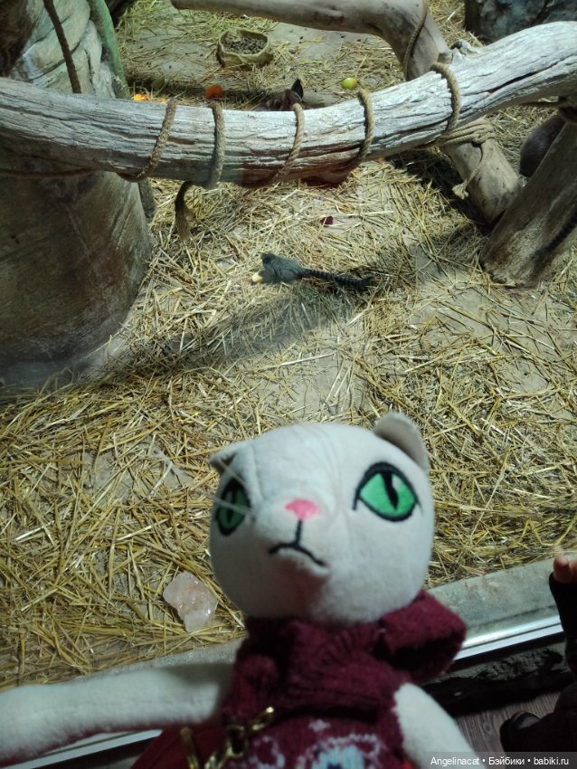 Ева в экзотариуме — Мягкие игровые и текстильные куклы: тряпичные