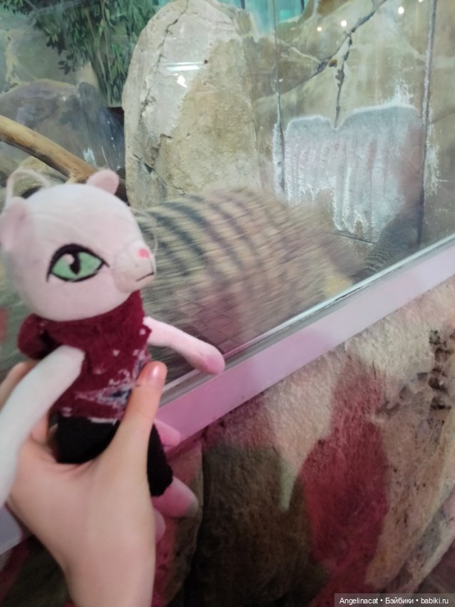 Ева в экзотариуме — Мягкие игровые и текстильные куклы: тряпичные