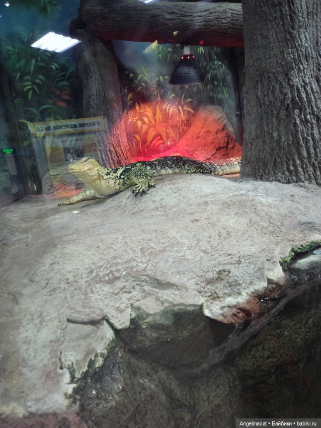 Ева в экзотариуме — Мягкие игровые и текстильные куклы: тряпичные