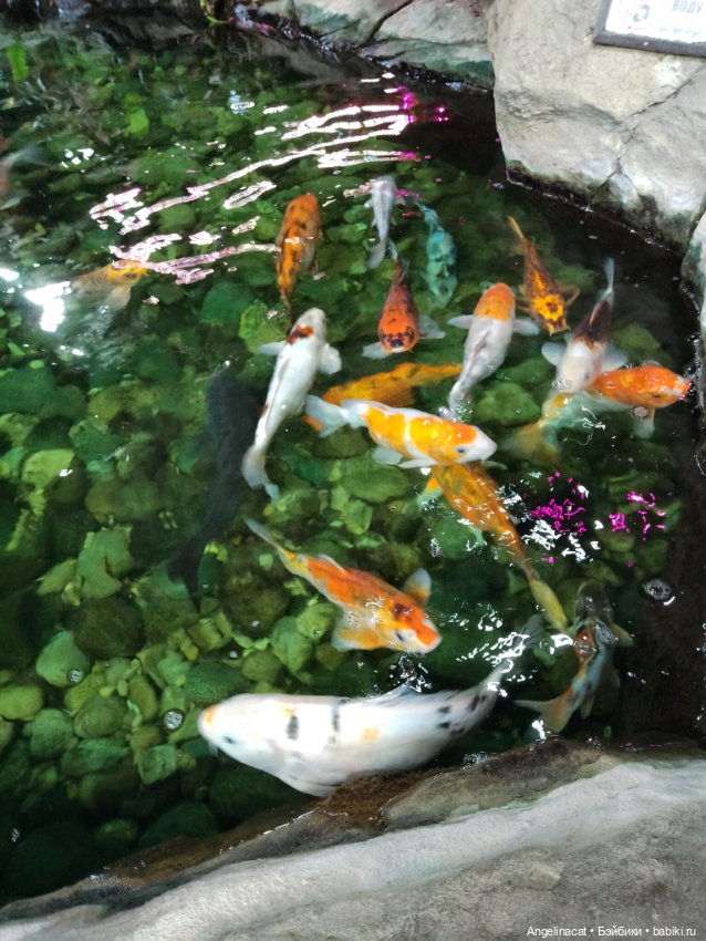 Ева в экзотариуме — Мягкие игровые и текстильные куклы: тряпичные