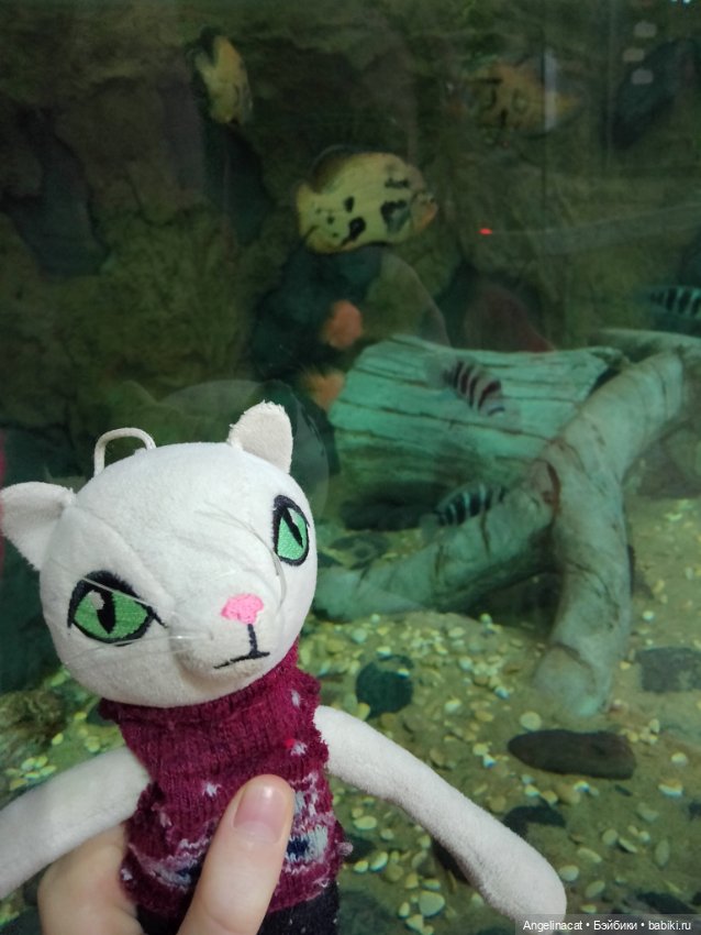Ева в экзотариуме — Мягкие игровые и текстильные куклы: тряпичные