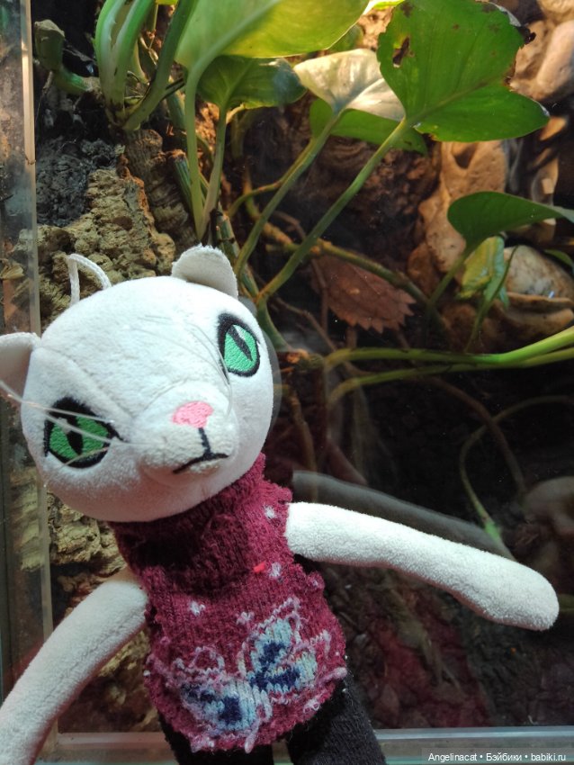 Ева в экзотариуме — Мягкие игровые и текстильные куклы: тряпичные