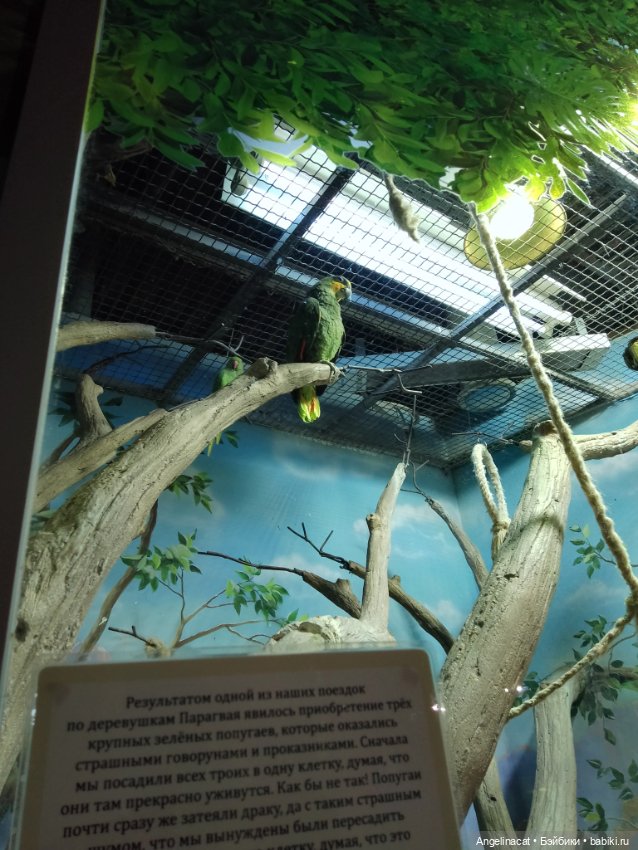 Ева в экзотариуме — Мягкие игровые и текстильные куклы: тряпичные