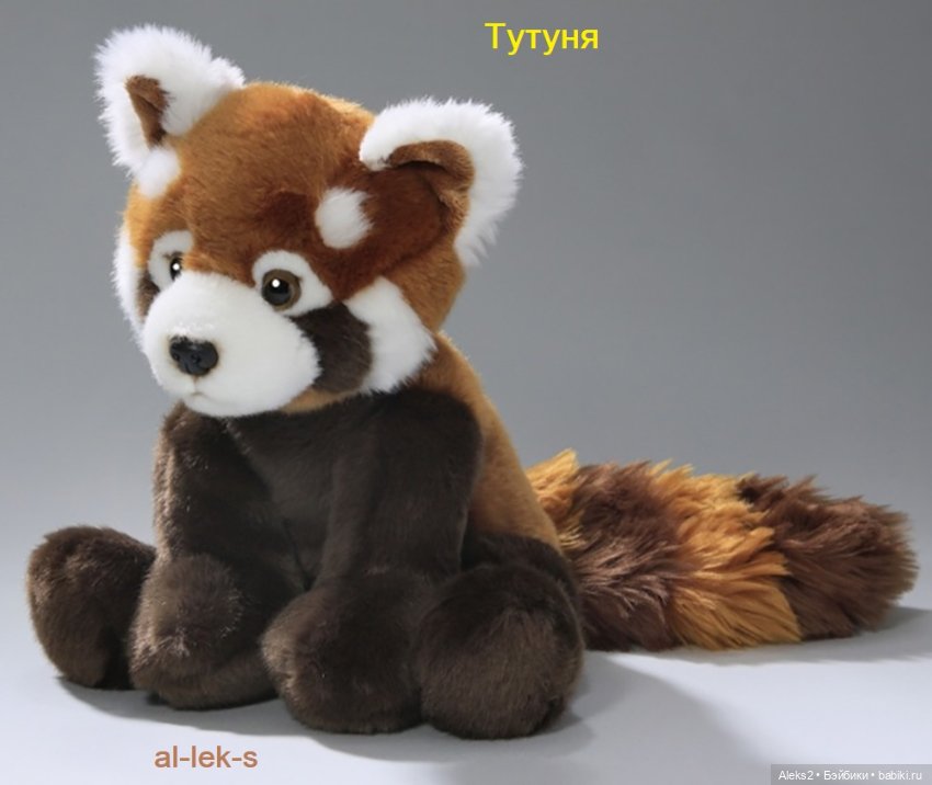 Поздравления с 23 февраля и мои мальчики 2