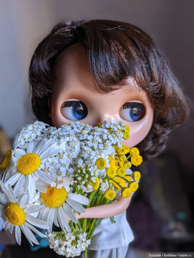 Блайз, просто Блайз — Оригинальные куклы Blythe (Блайз): Takara (фото 8)