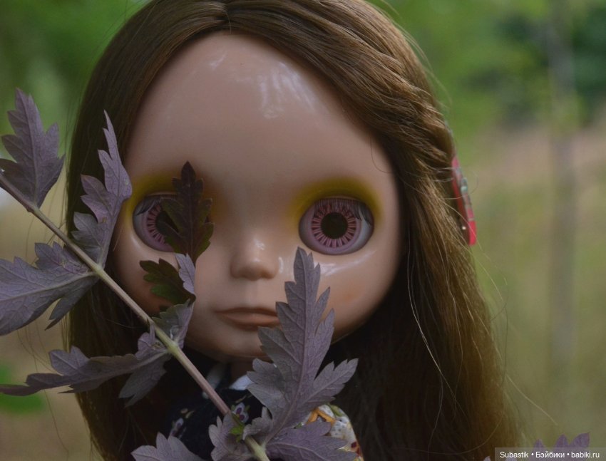 Блайз, просто Блайз — Оригинальные куклы Blythe (Блайз): Takara