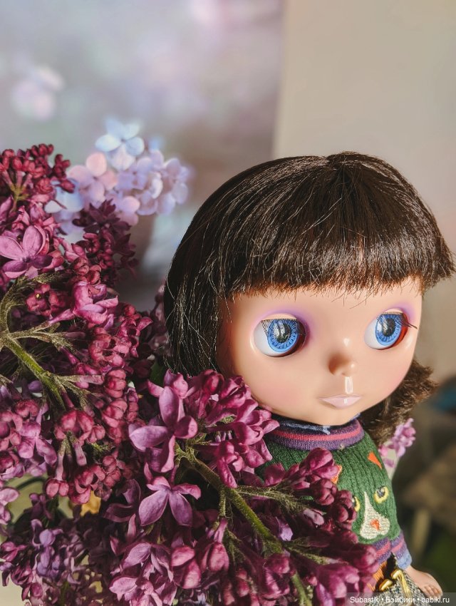 Блайз, просто Блайз — Оригинальные куклы Blythe (Блайз): Takara (фото 3)