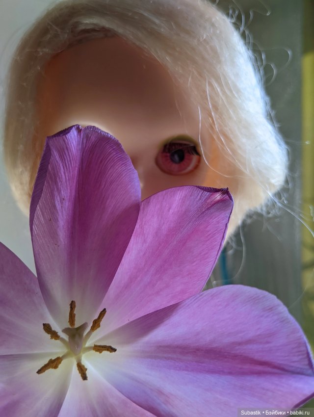 Блайз, просто Блайз — Оригинальные куклы Blythe (Блайз): Takara