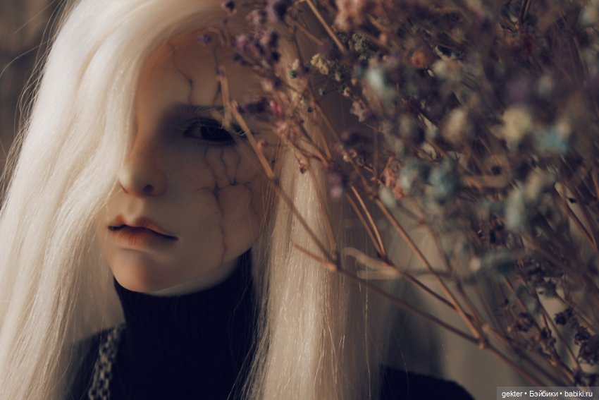 𝓡𝓮𝓷𝓮' 🌾 — Куклы Dollzone (Доллзон): BJD (БЖД)