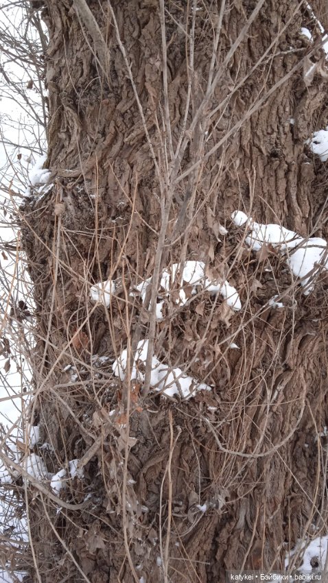 Мурзук — Коллекционные игрушки и фигурки: Lego (фото 10)