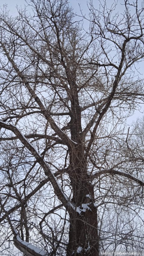 Мурзук — Коллекционные игрушки и фигурки: Lego (фото 8)