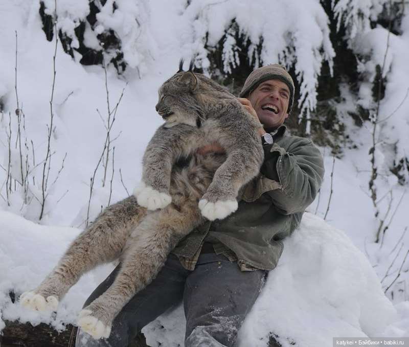 Мурзук — Коллекционные игрушки и фигурки: Lego