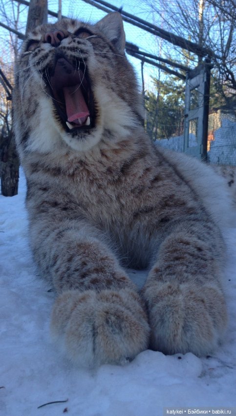 Мурзук — Коллекционные игрушки и фигурки: Lego