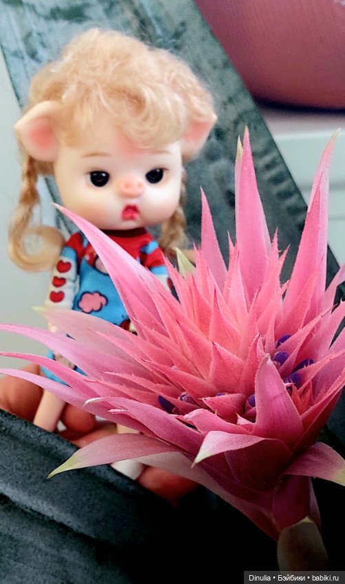 Саша + Маша и цветы — Игровые куклы разных производителей (Разное): редкие бренды