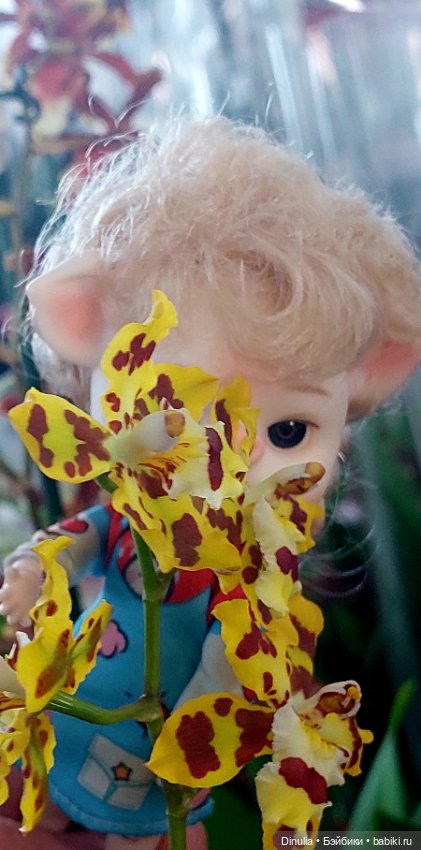 Саша + Маша и цветы — Игровые куклы разных производителей (Разное): редкие бренды (фото 9)