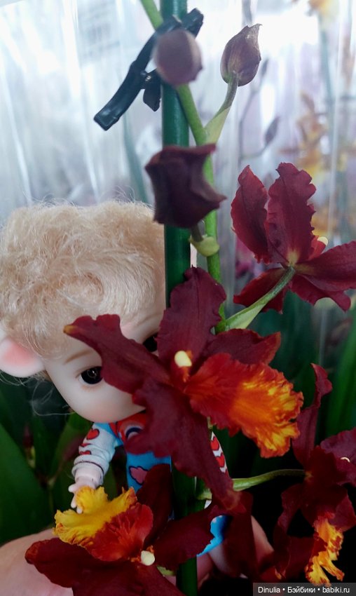 Саша + Маша и цветы — Игровые куклы разных производителей (Разное): редкие бренды (фото 10)