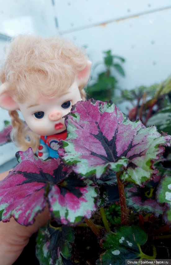 Саша + Маша и цветы — Игровые куклы разных производителей (Разное): редкие бренды (фото 3)