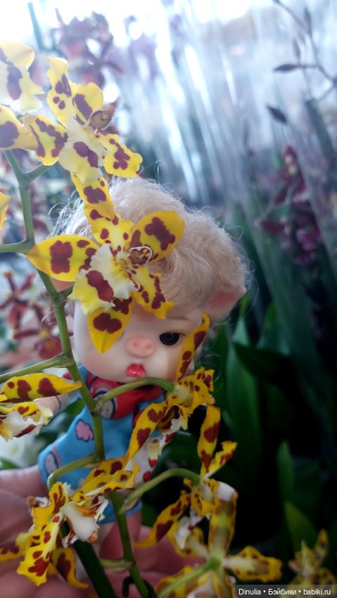Саша + Маша и цветы — Игровые куклы разных производителей (Разное): редкие бренды (фото 8)