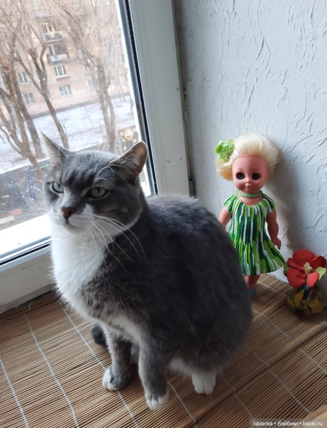 Новенькая зеленоглазенькая трахтенпуппеночка моя