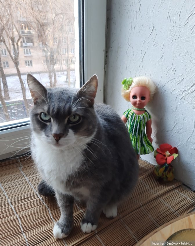 Новенькая зеленоглазенькая трахтенпуппеночка моя