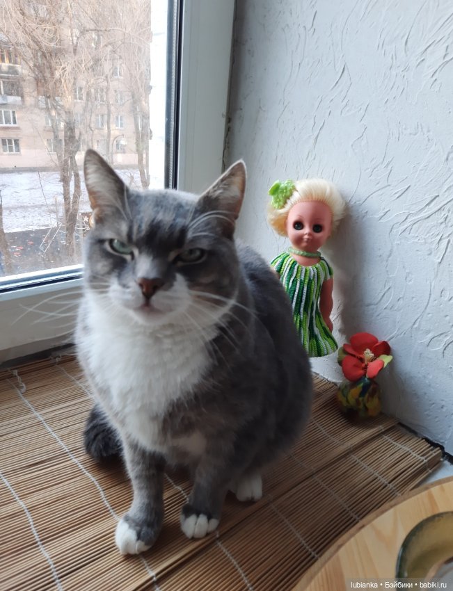 Новенькая зеленоглазенькая трахтенпуппеночка моя