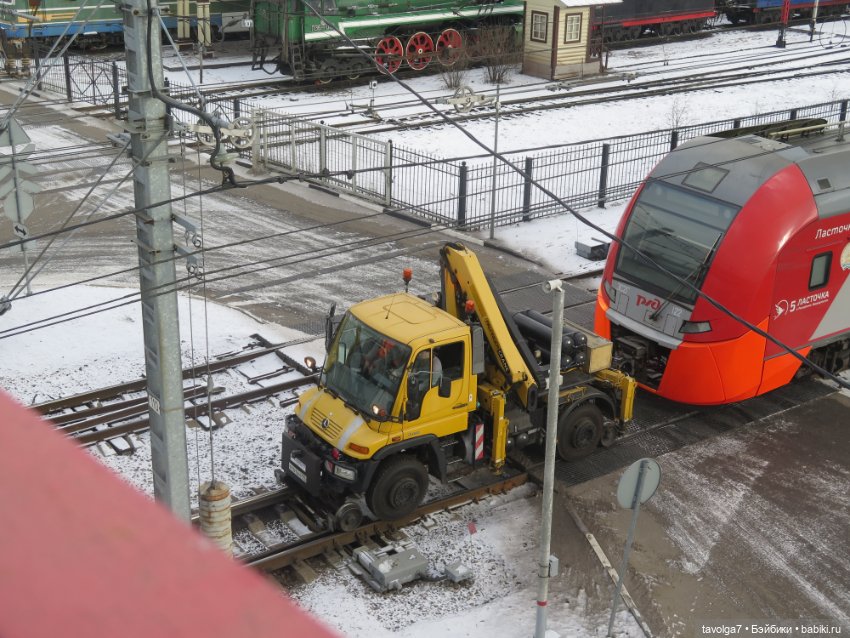 Внезапные жители в деревне у Маяка (фото 10)