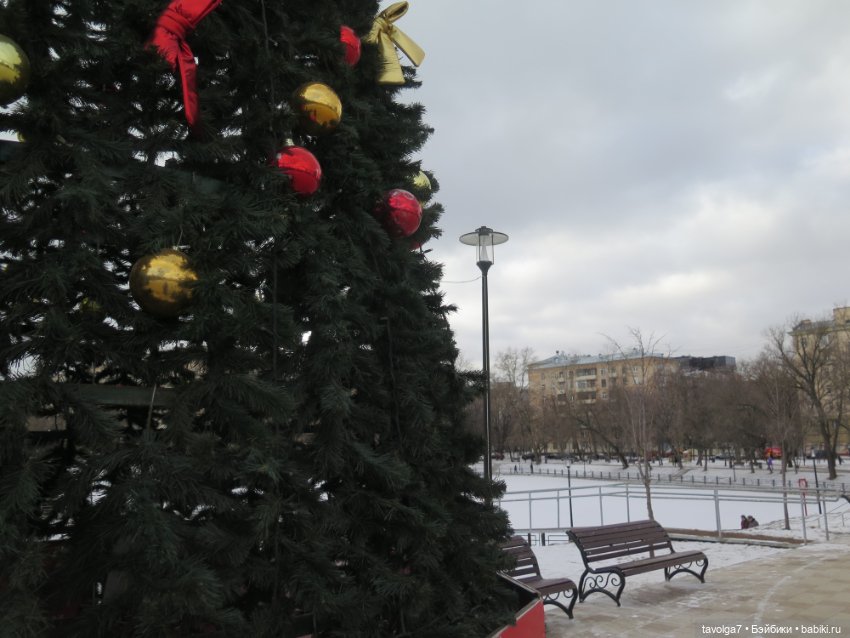 Внезапные жители в деревне у Маяка