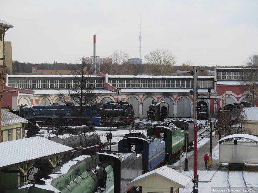 Внезапные жители в деревне у Маяка (фото 9)