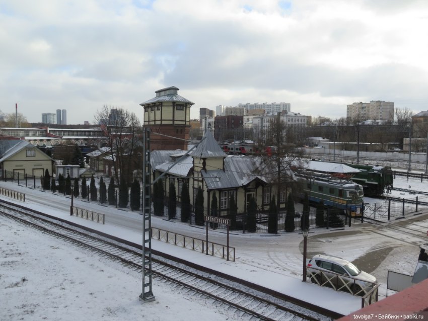 Внезапные жители в деревне у Маяка (фото 8)