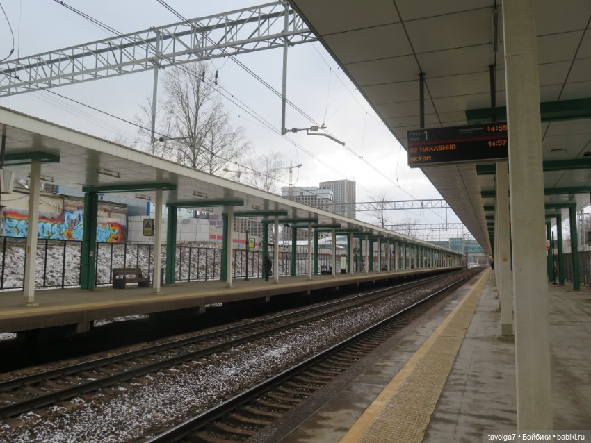 Внезапные жители в деревне у Маяка