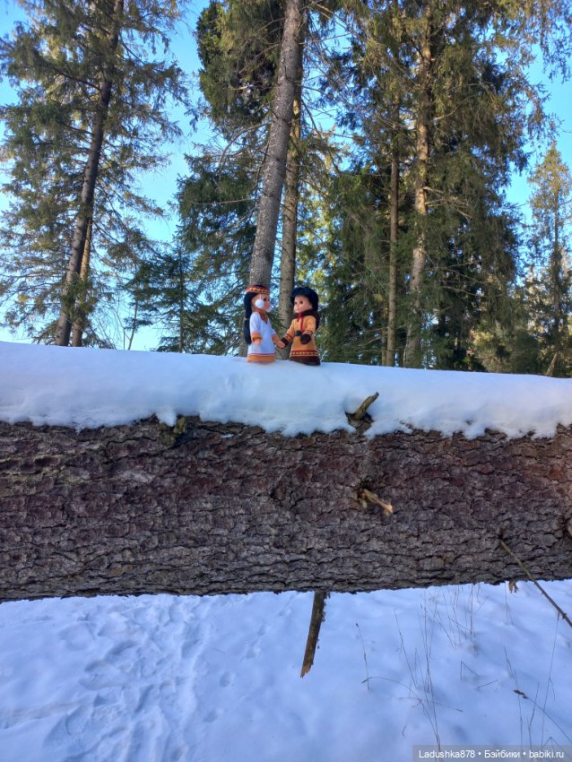 Северяне от "Весны" на прогулке