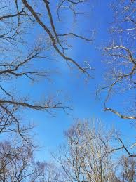 Детская игровая🐱💕🥳 (малыши Габриэль Мюллер 23см Gabriel Muller