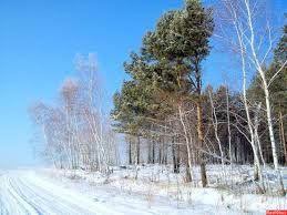 Детская игровая🐱💕🥳 (малыши Габриэль Мюллер 23см Gabriel Muller