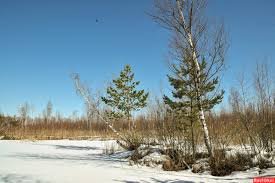 Детская игровая🐱💕🥳 (малыши Габриэль Мюллер 23см Gabriel Muller