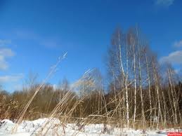 Детская игровая🐱💕🥳 (малыши Габриэль Мюллер 23см Gabriel Muller