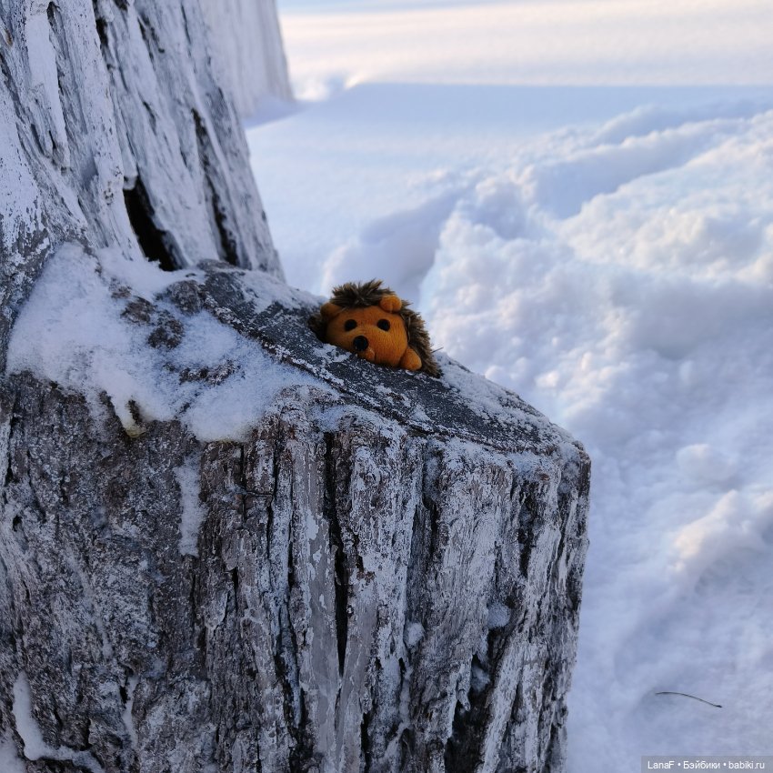 Детская игровая🐱💕🥳 (малыши Габриэль Мюллер 23см Gabriel Muller