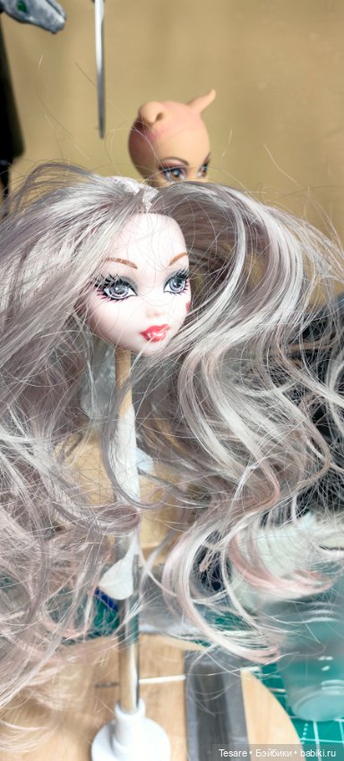 Восстановление. Дракулаура (фото 2)