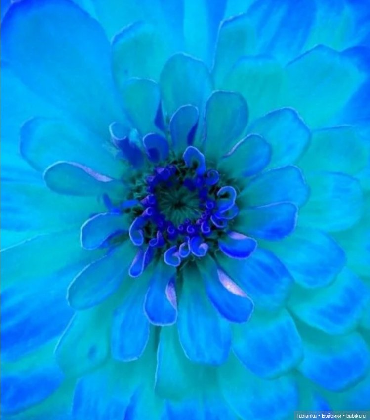 Бирюзового немного💙 — Винтажные куклы ГДР (Немки): Бигги