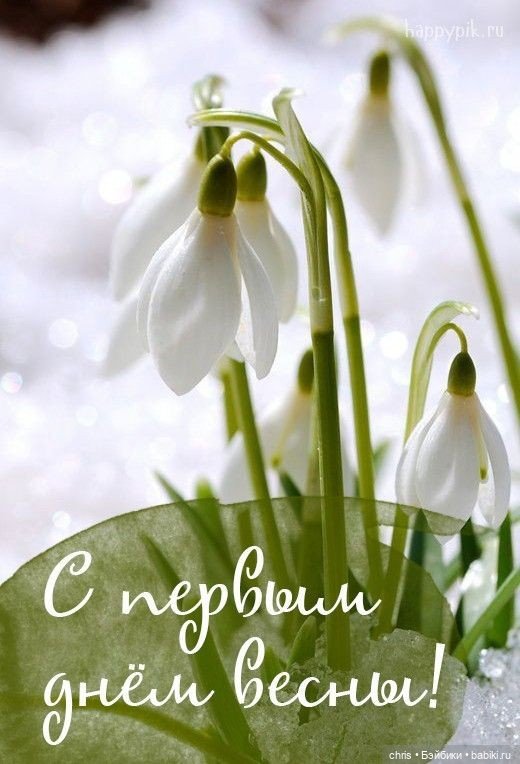 С первым днем весны ! Гибрид . Прогулка