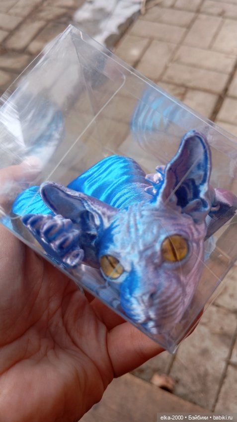 Голубой, голубой или день котиков